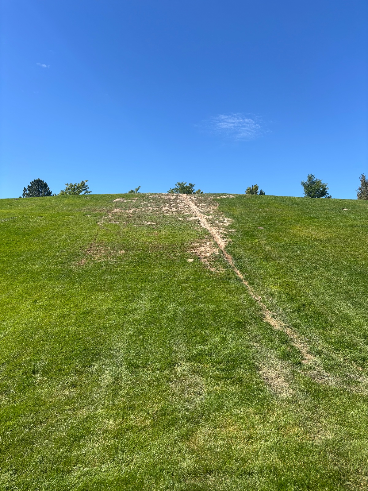 Hill Walk Merit Badge